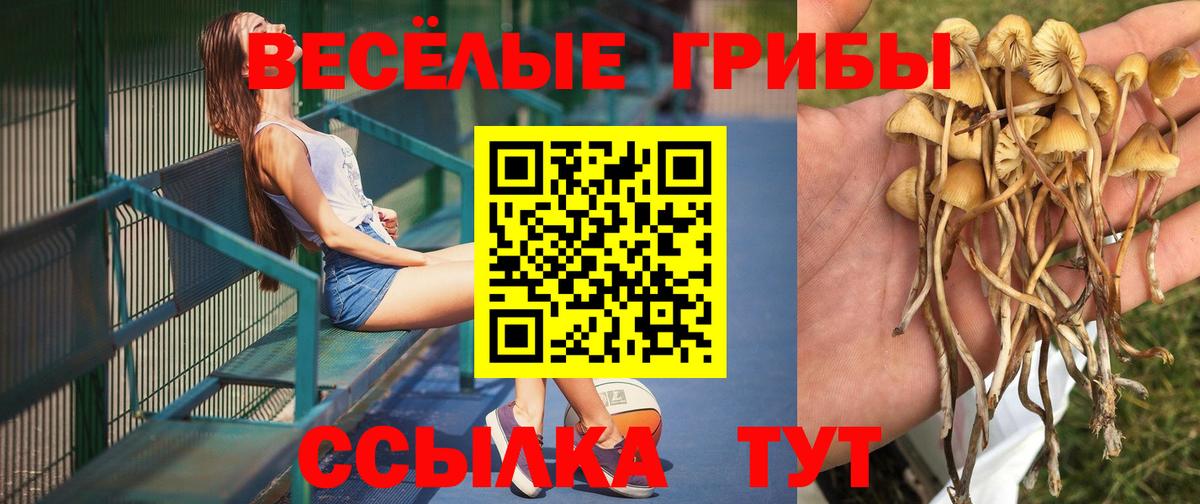 Златоуст  Псилоцибиновые грибы MAGIC MUSHROOMS  где можно купить   Вход с VPN 